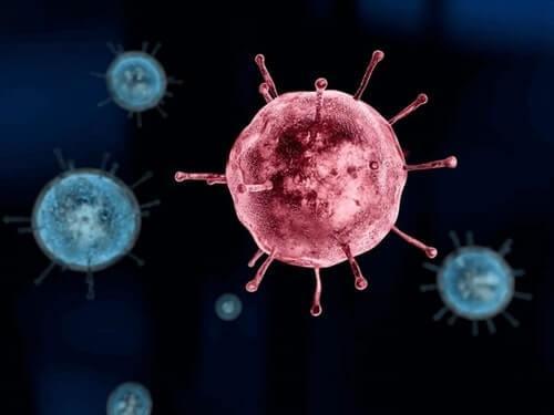 ویروس کرونا (کروناویروس) | علائم و راه های پیشگیری